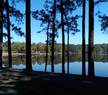 image of a lake with trees in the foreground